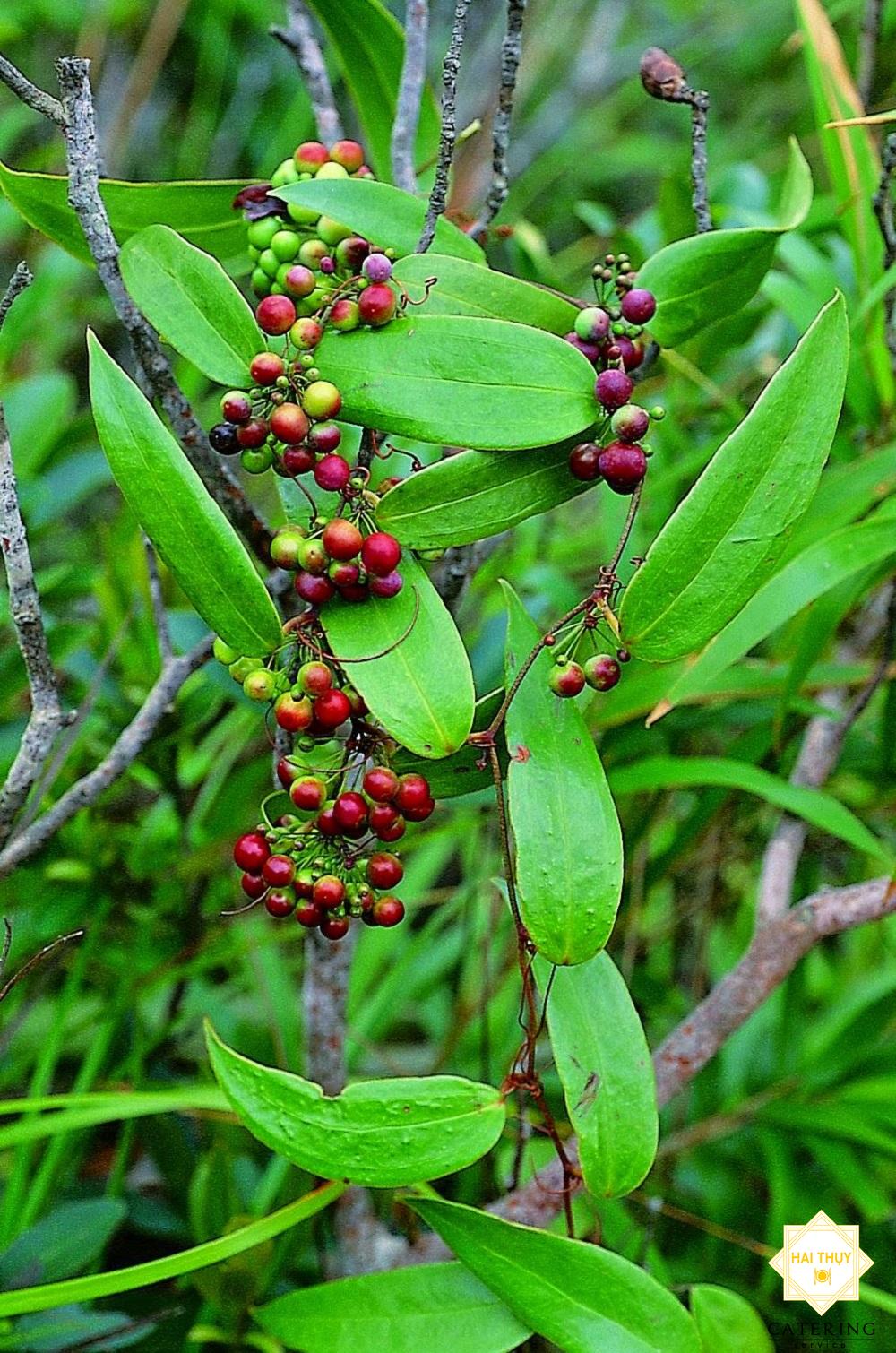 Top thức ăn chữa bệnh tiểu đường mà bạn cần biết